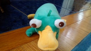 This small stuffed Perry the Platypus is one of the most requested stuffies in my calming bag.