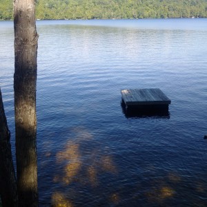 A view from the cottage on one of the sunny days earlier this month