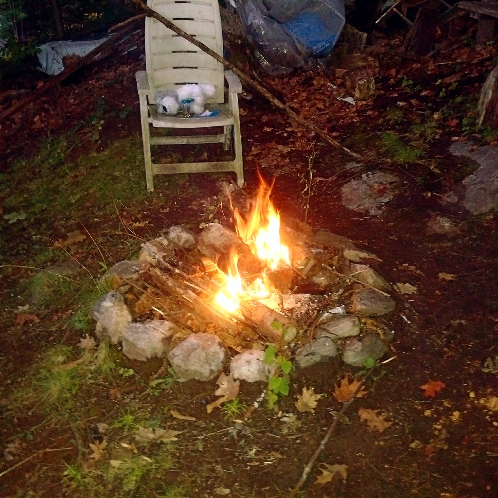 A crackling campfire, shared with my cousin and his family.