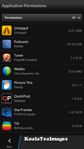 The application permissions list with app icons in a list with their version number on the right.
