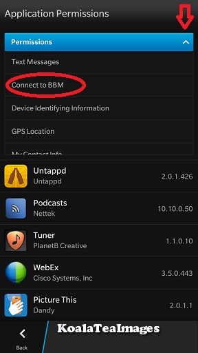 Applications permissions drop down list with connect to BBM circled in the middle in red