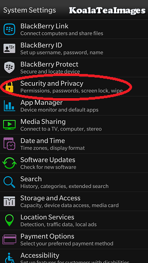 a listing of all of the system settings with security and privacy circled in red partway down the list.