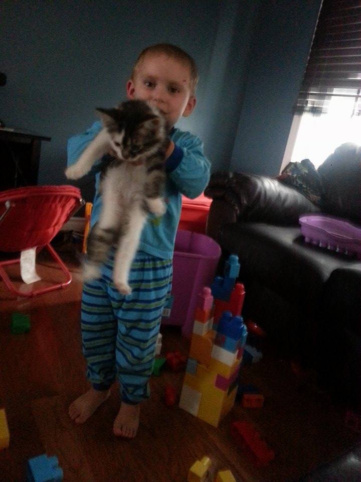 A small boy in blue PJs holds out a cat