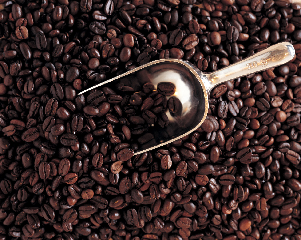 A silver metal scoop in a pool of whole coffee beans