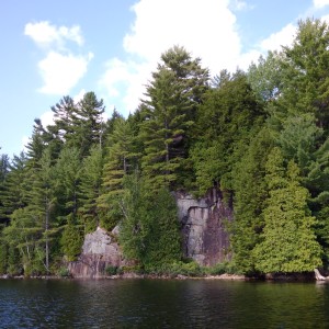 trees grow out of the Canadian Shield