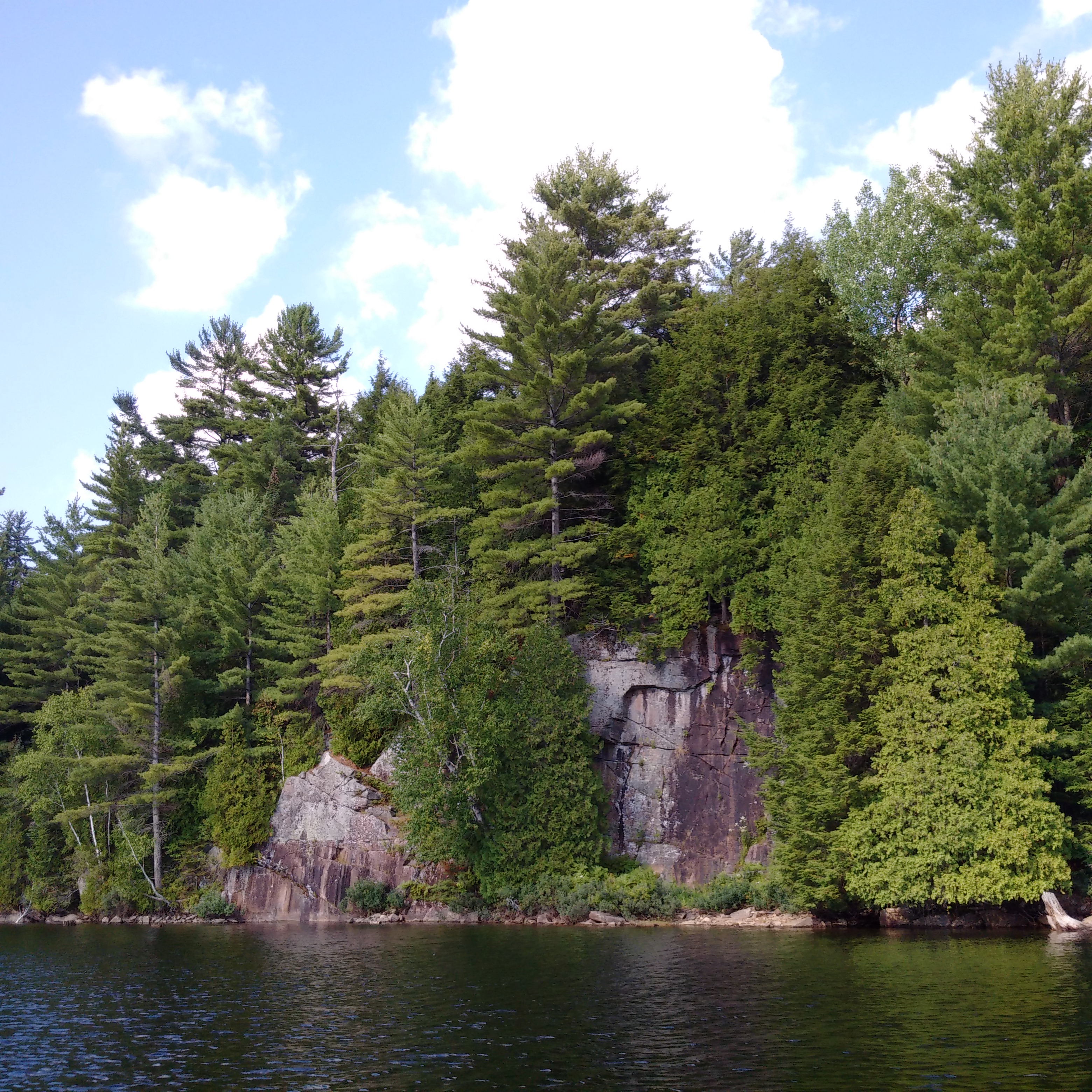 trees grow out of giant rocks forming the Canadian Shield