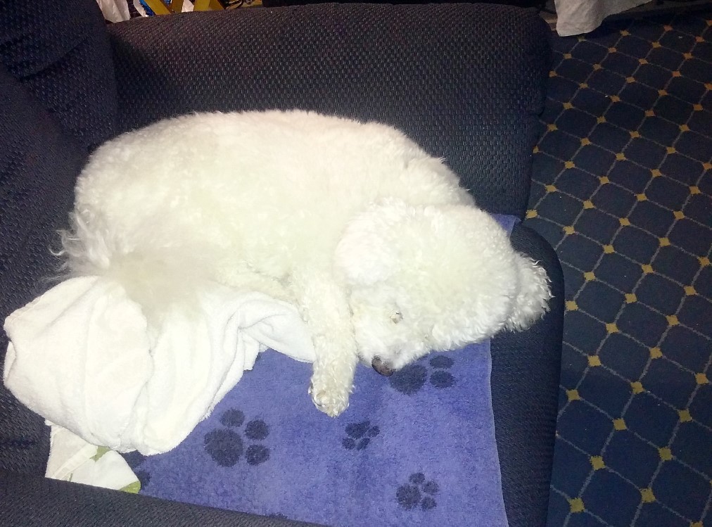 Tired Monty