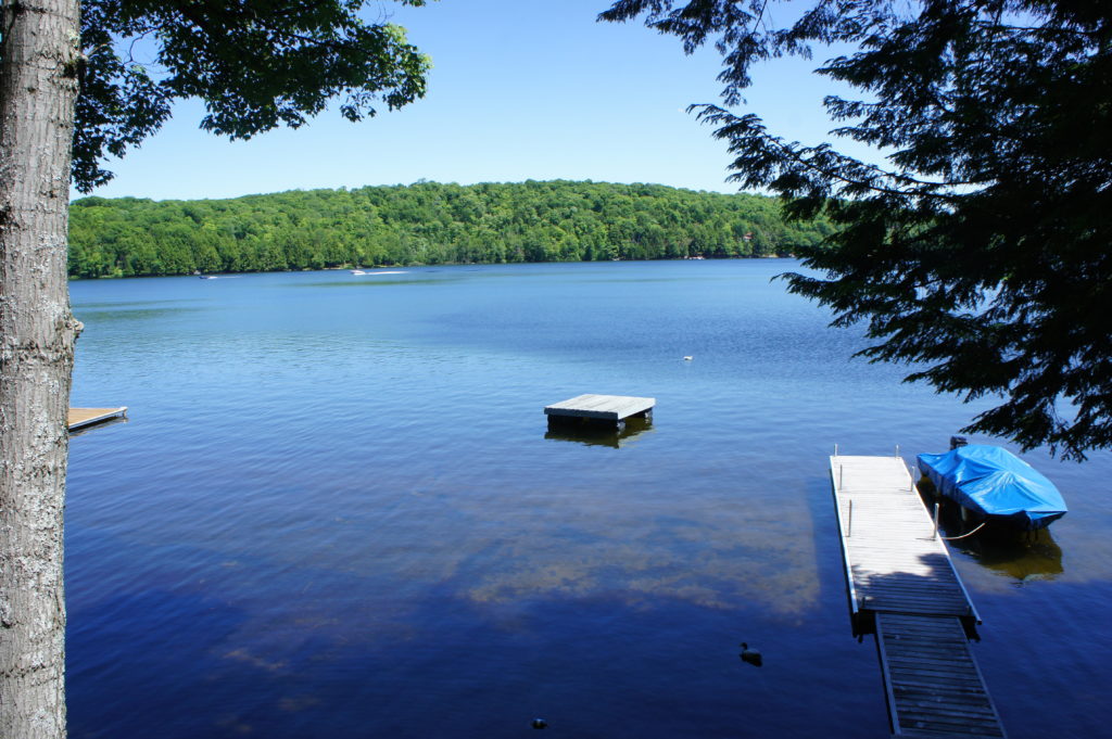 View from my deck