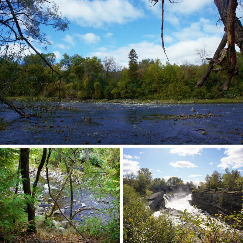 three photos of the river and trees